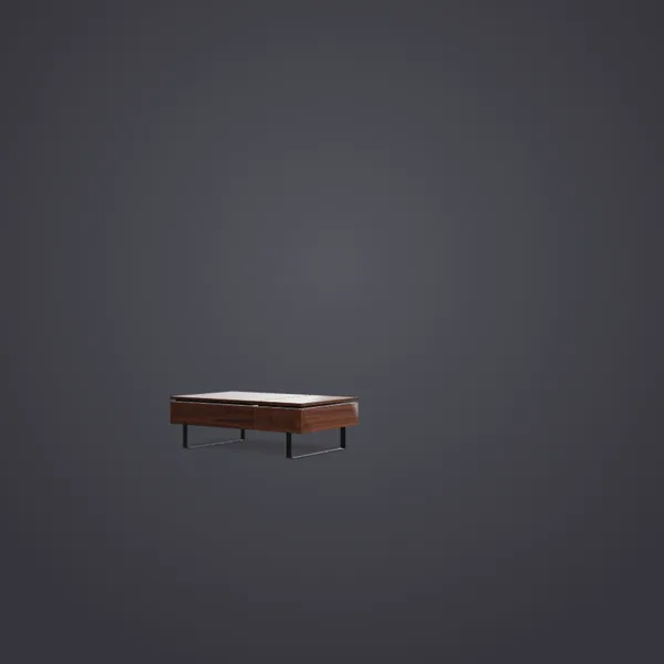 Flippa Storage Coffee Table