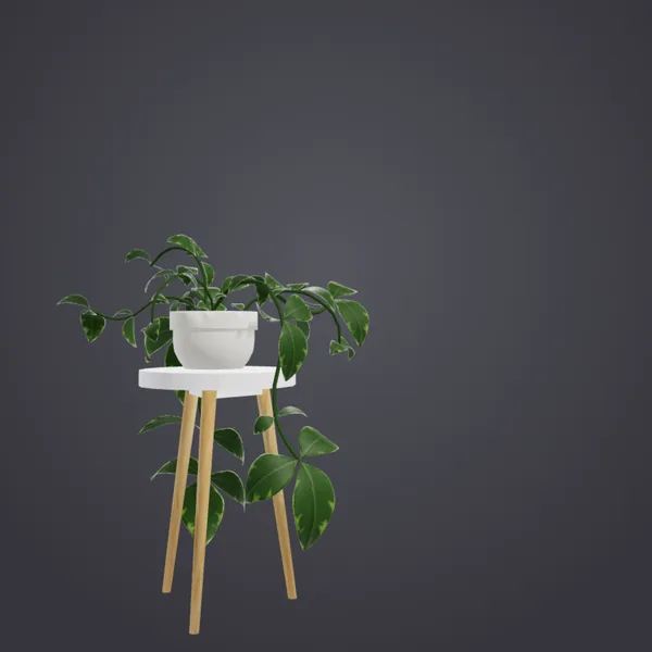 Trailing Plant & Stand